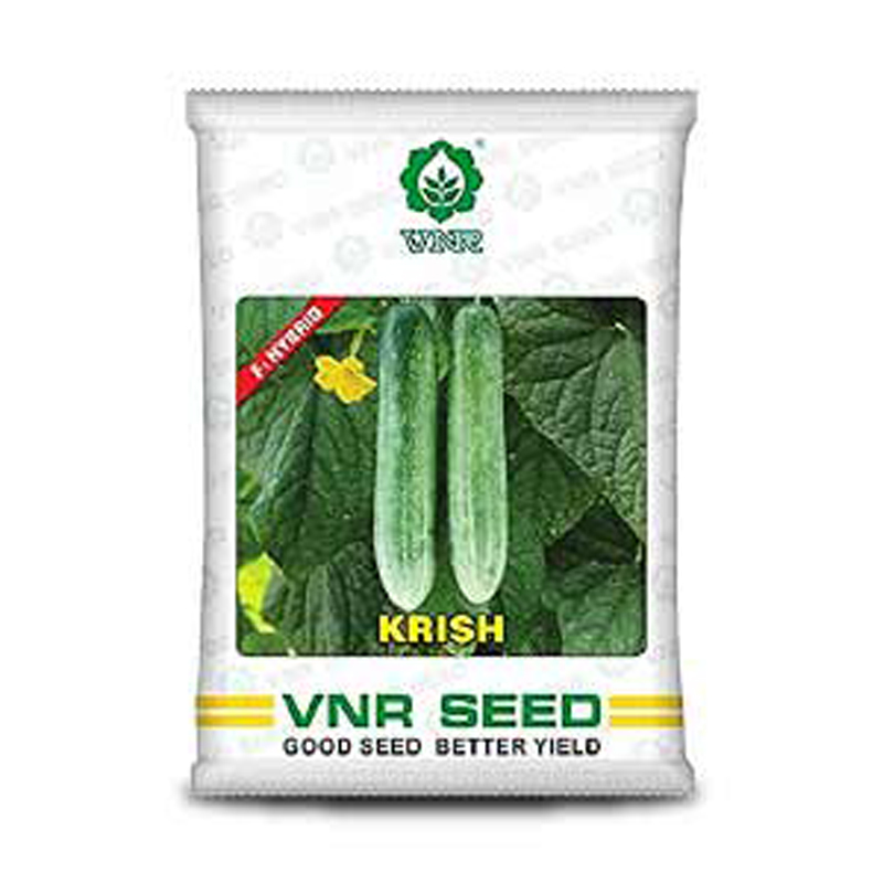 Krish F1 Hybrid Cucumber Seeds – High Yield - Image 2