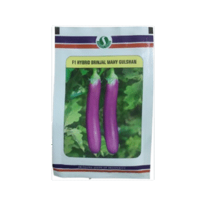 Mahy Gulshan Brinjal Seeds