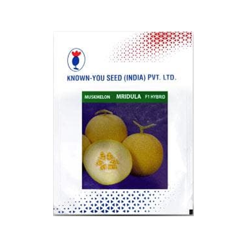 Mridula Muskmelon Seeds - Early maturity, Round Fruit with Sweet Aroma