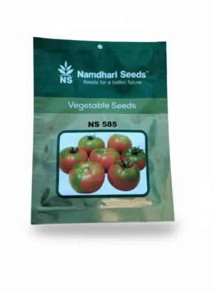 Namdhari NS 585 Tomato Seeds F1 Hybrid – High Yield Premium Red Tomato for Commercial Farming(10GM)