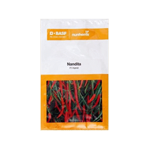 Nandita Chilli Seeds - Sturdy, Shiny, Long-Lasting Fruits