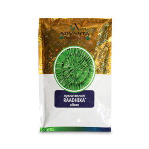 Radhika Bhindi Okra Hybrid Seeds – High Yield, Long