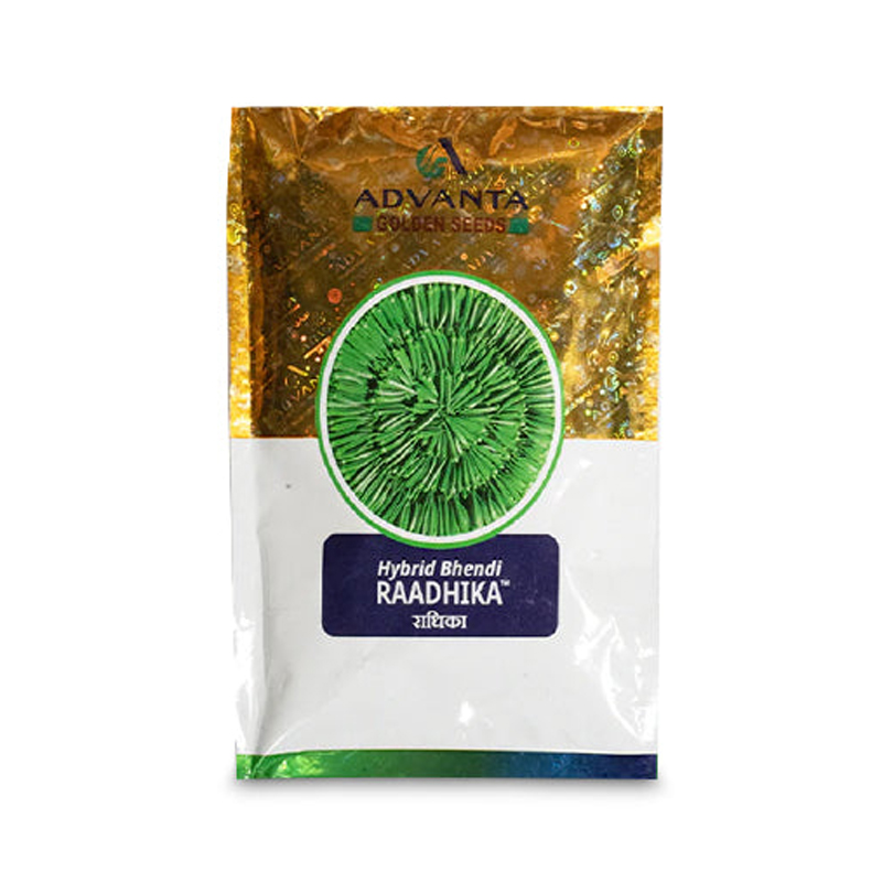 Radhika Bhindi Okra Hybrid Seeds – High Yield, Long