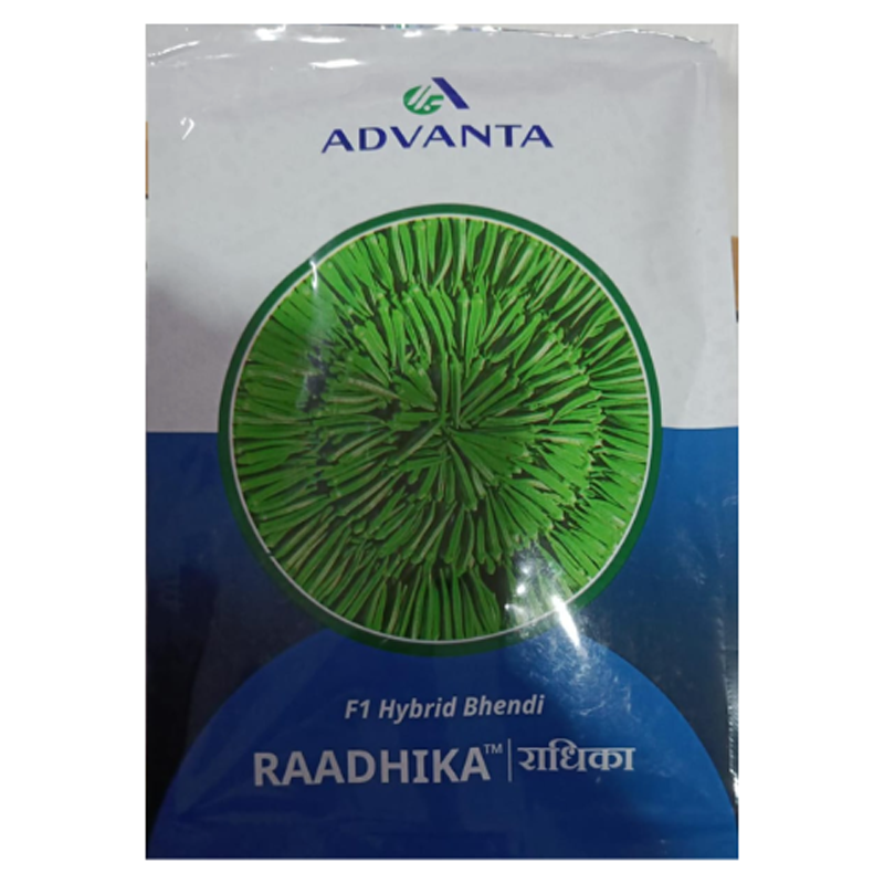 Radhika Bhindi Okra Hybrid Seeds – High Yield, Long - Image 4