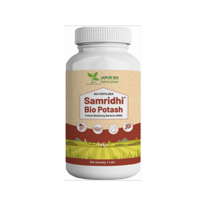 Samridhi Bio Potash (Potassium Mobilizing Bacteria - KMB)