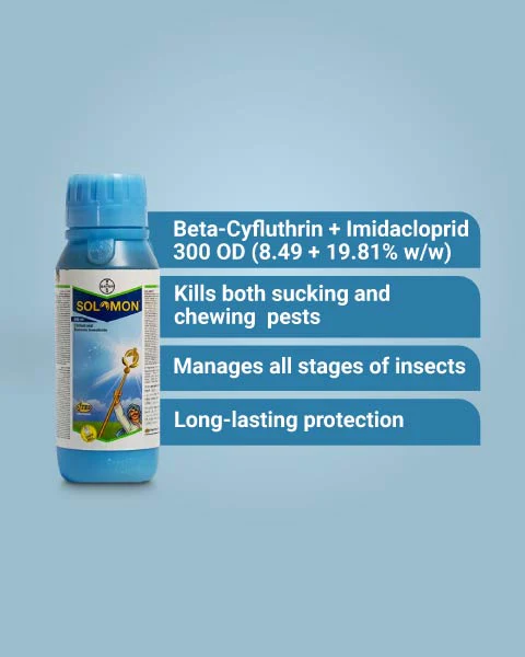Bayer Solomon Insecticide (Beta-Cyfluthrin 8.49% + Imidacloprid 19.81% OD) - Dual Action Broad Spectrum Insecticide - Image 2