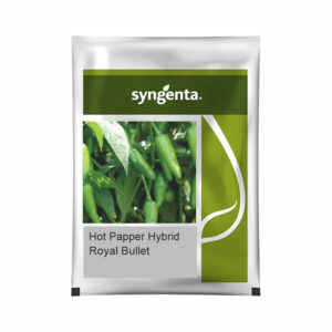syngenta-royal-bullet-1500-seeds-file