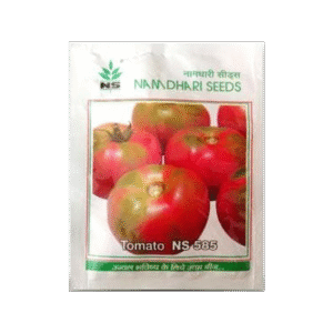 tomato-seeds