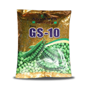 GS- 10 Pea Seeds - Sweet, High Yield