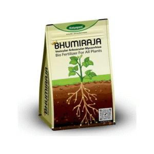 Katyayani Bhumiraja Vam Bio Fertilizer
