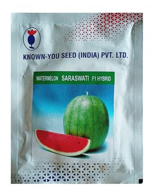 Known You Saraswati F1 Hybrid Watermelon Seeds 50 gm