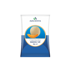 Advanta F1 hybrid Madhu 149 muskmelon seeds, field tolerance to fungi and viruses