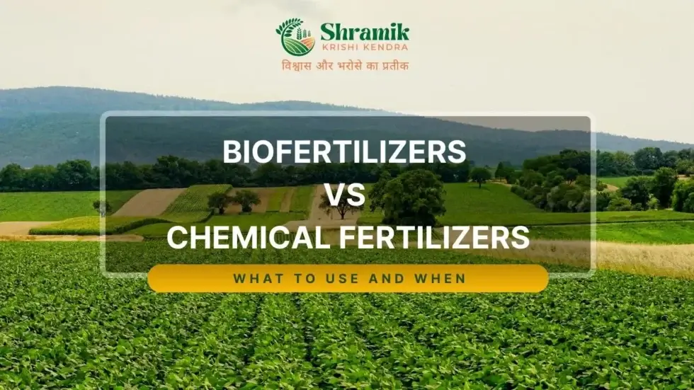 Biofertilizers vs Chemical Fertilizers: What to Use and When