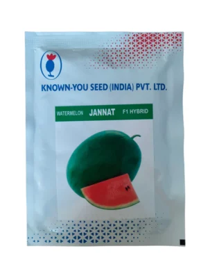 Watermelon Jannat F1 Hybrid Known Seed 100 gm