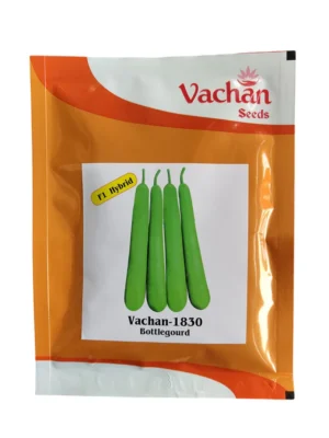 Bottle Gourd 1830 F1 Hybrid Vachan Seeds 50gm