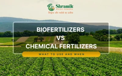 Biofertilizers vs Chemical Fertilizers: What to Use and When