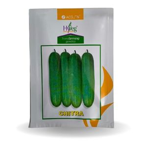 HITRA CUCUMBER – High Yield & Bitter Taste-Free Fruits 50 gm