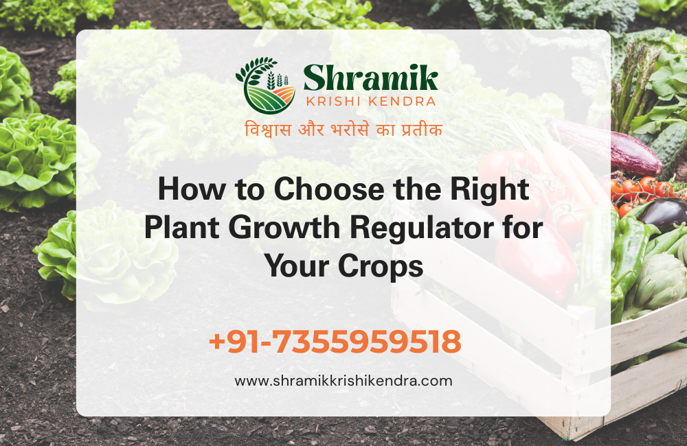 plant-growth-regulator-for-crops