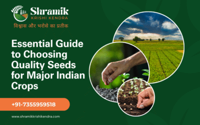 Essential Guide to Choosing Quality Seeds for Major Indian Crops