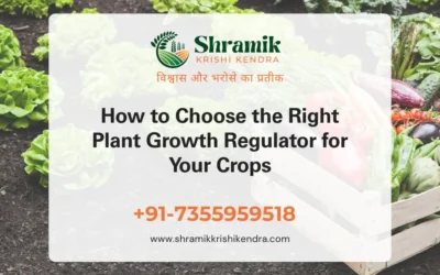 How to Choose the Right Plant Growth Regulator for Your Crops