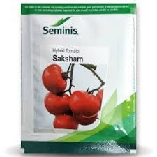 SAKSHAM TOMATO - 10GM