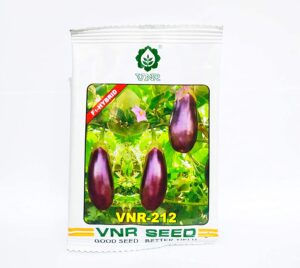 VNR 212 BRINJAL -10gm