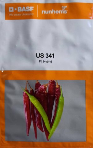 US 341 - 1500 Seeds