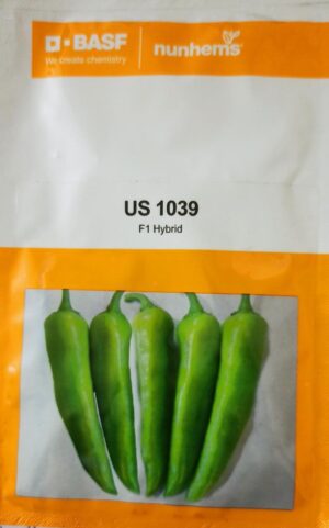US 1039- 1500 Seeds