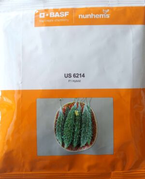 US 6214 - 500 Seeds
