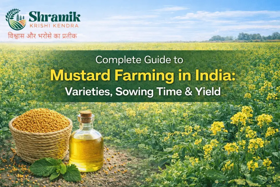 Complete Guide to Mustard Farming in India: Varieties, Sowing Time & Yield