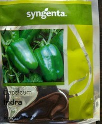 Indra Capsicum - 1500 Seeds