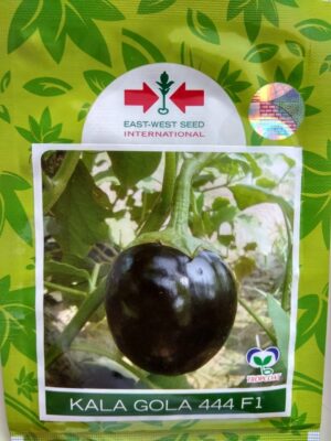 Brinjal Kala Gola- 10gm