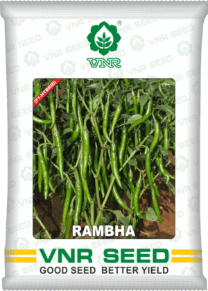 VNR Rambha Chilli - 10 gm