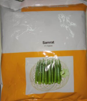 Bhindi Samrat seeds
