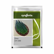 SYNGENTA OH-389 BHINDI - 250GM