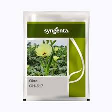 SYNGENTA OH-517 BHINDI - 250GM