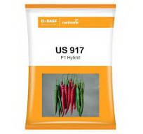 NUNHEMS US 917 CHILLI-1500 SDS