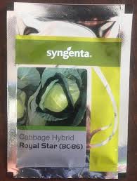 SYNGENTA ROYAL STAR CABBAGE -2500 SDS