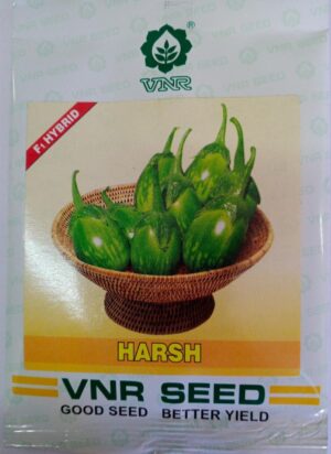 VNR HARSH BRINJAL - 10 gm