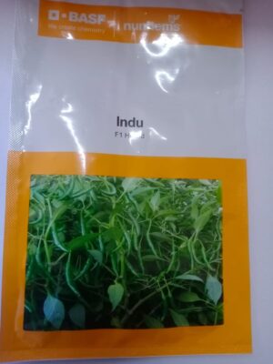 Indu chilli -1500 seeds