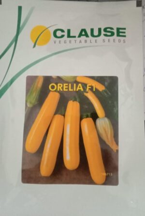 Clause orelia -100seesd