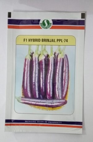 Sungro Brinjal ppl 74 -10gm
