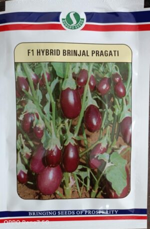 Brinjal Pragati - 10gm