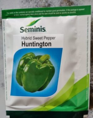 Seminis Huntington Capsicum -1500seeds
