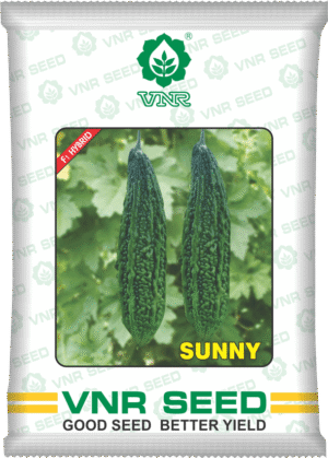 VNR Bitter gourd Sunny - 50 gm