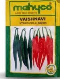 Mahyco Vaishnavi Chilli -10gm