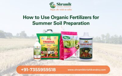 How to Use Organic Fertilizers for Summer Soil Preparation