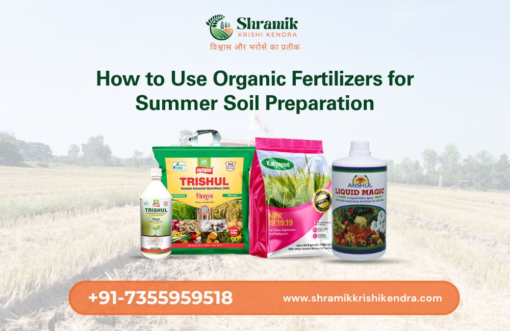 best fertilizer for high yield