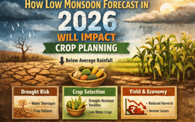 How Low Monsoon Forecast in 2026 Will Impact Crop Planning