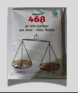 Kaveri 468 Hybrid Paddy Seed